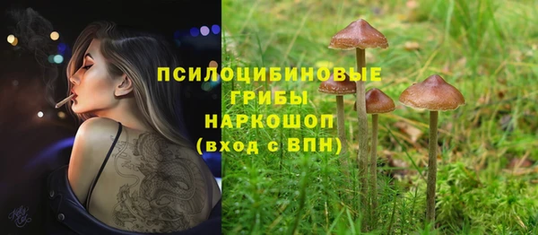 первитин Армянск