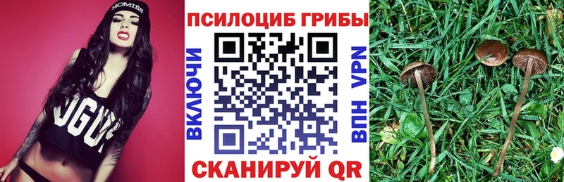 закладки  Семикаракорск  Галлюциногенные грибы Magic Shrooms 